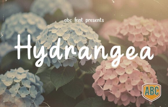 Hydrangea Font: How a Handwritten Typeface Transformed My Small Business Branding