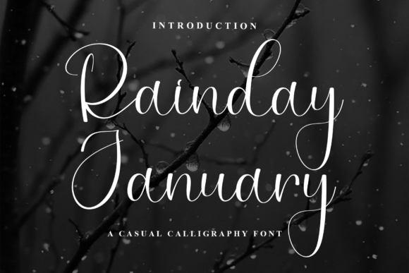 Rainday January: A Sophisticated Script Font for Elegant Branding